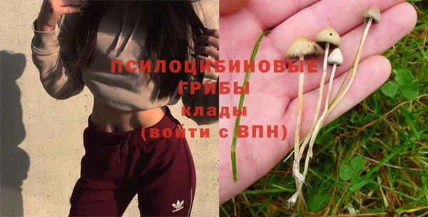 кокс Володарск